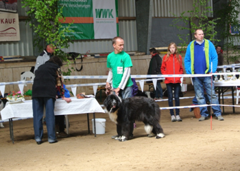 Bild(vereinsleben/bilder/Ausstellungen/04052014_11.png) konnte nicht geladen werden