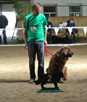 Bild(vereinsleben/bilder/Ausstellungen/04052014_3.png) konnte nicht geladen werden