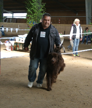 Bild(vereinsleben/bilder/Ausstellungen/04052014_5.png) konnte nicht geladen werden