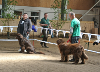 Bild(vereinsleben/bilder/Ausstellungen/04052014_6.png) konnte nicht geladen werden