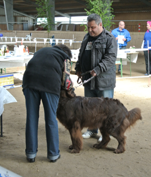 Bild(vereinsleben/bilder/Ausstellungen/04052014_7.png) konnte nicht geladen werden