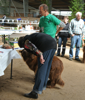 Bild(vereinsleben/bilder/Ausstellungen/04052014_8.png) konnte nicht geladen werden