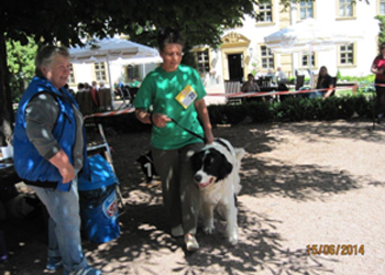 Bild(vereinsleben/bilder/Ausstellungen/15062014_7.jpg) konnte nicht geladen werden