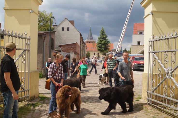 Bild(vereinsleben/bilder/Zusammensein/W6.JPG) konnte nicht geladen werden