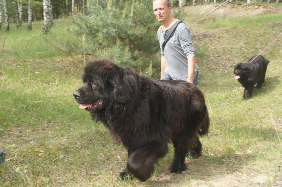 Bild(vereinsleben/bilder/Zusammensein/Wald3.JPG) konnte nicht geladen werden