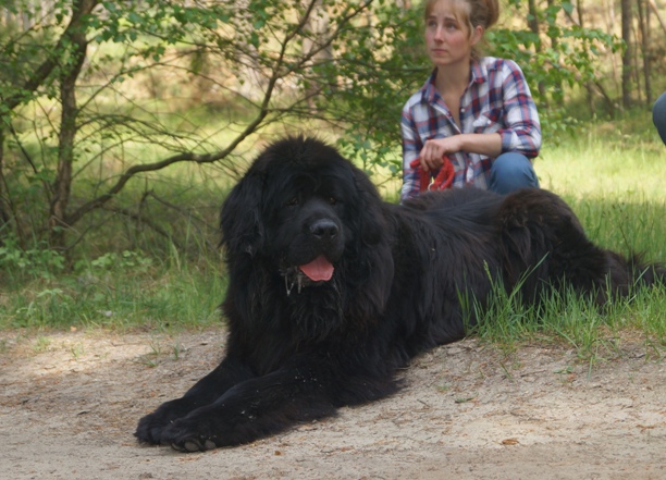 Bild(vereinsleben/bilder/Zusammensein/Wald6.JPG) konnte nicht geladen werden